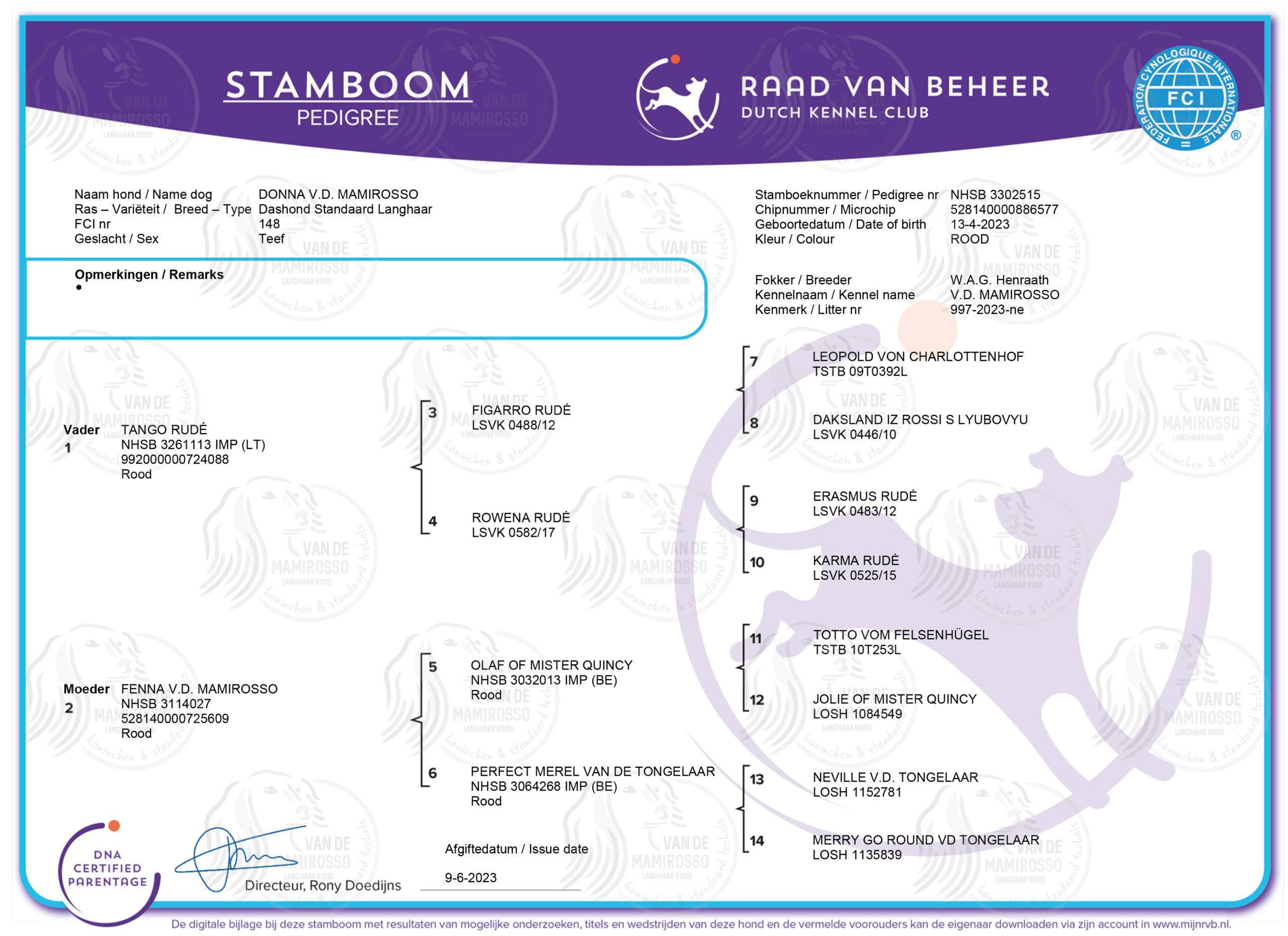 Van de Mamirosso - Stamboom Donna